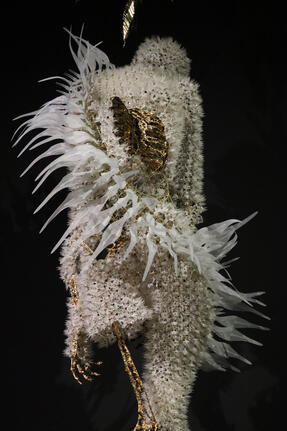 Iris van Herpen - Sculpting the Senses