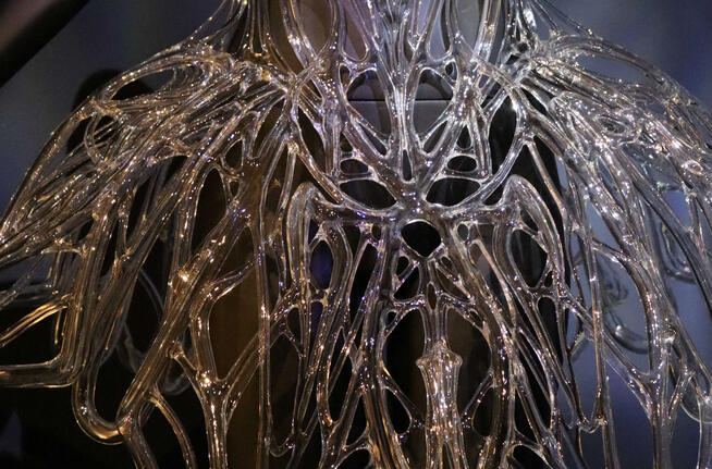 Iris van Herpen in detail 2025